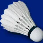 Feather_Badminton